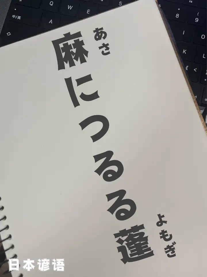 请输入图片描述