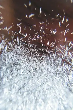 看不见的敌人-16.毕生基金会 - 知乎