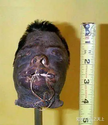 奇怪沙僧什么本事能把九个那么大的骷髅头同时挂到脖子上的