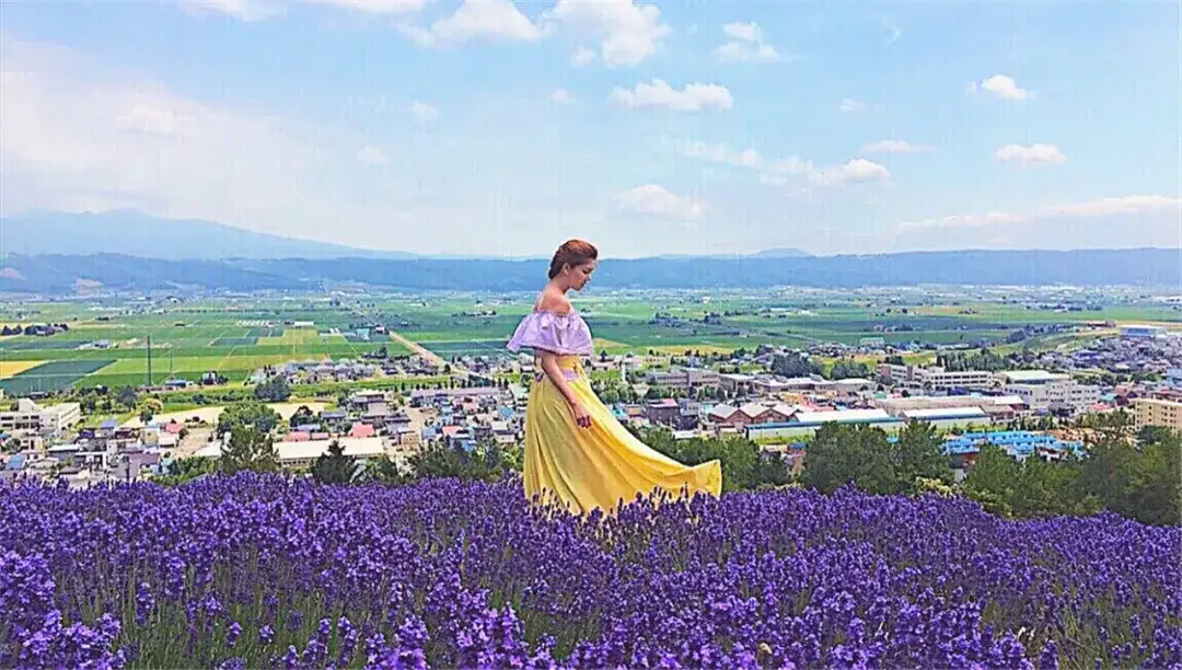 花见の盛夏 北海道夏日人气旅行地 梦幻花海 观鲸 云瀑 太治愈了 知乎