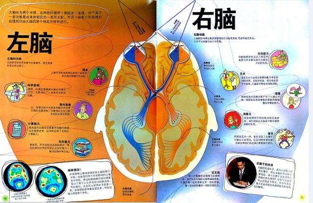 "全网同名" 如果将你大脑中的水分都吸干然后按不同的营养成分进行