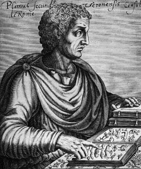 参考古罗马学者普林尼(pliny,23-79)