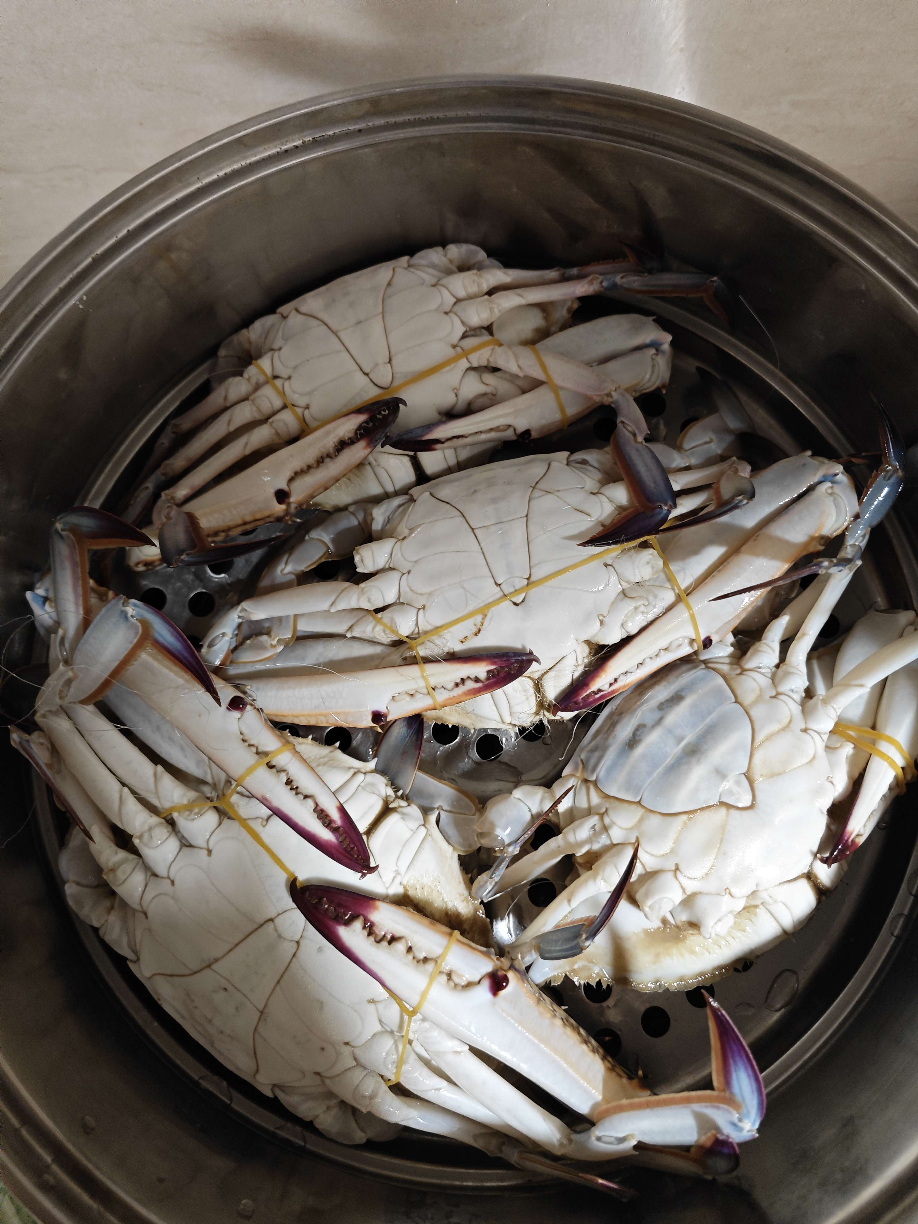 汽车ee 的想法: 靠山吃山 靠海吃海 秋天的虾爬子 螃蟹 真… - 知乎