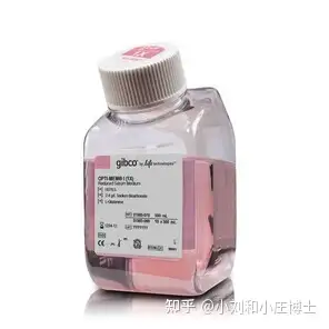 详解转染利器lipo3000的使用说明书 - 知乎
