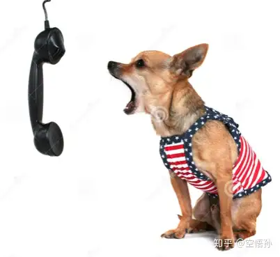 dog or other animal) emit a bark【通常指狗叫】the mongrel barked