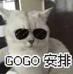偶然刷到的一个逆天ElevenLabs开源平替！