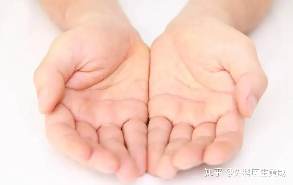 オープニング大セール】 = 体験する手外科 ORTHOPLASTIC,HAND