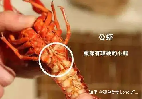 墙裂推荐(小龙虾价格大跌)小龙虾价格暴跌,(图14) 墙裂推荐(小龙虾价格大跌)小龙虾价格暴跌,(图14)