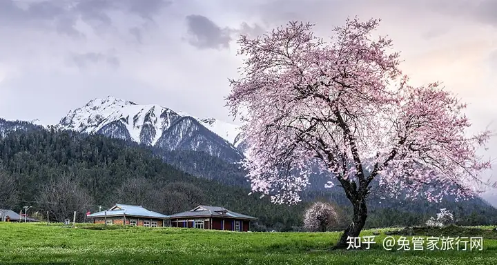 湖南新鲜出炉的新“芙蓉八景”，你都去过几个？张家界山里不止有神仙，竟然还有鬼怪？