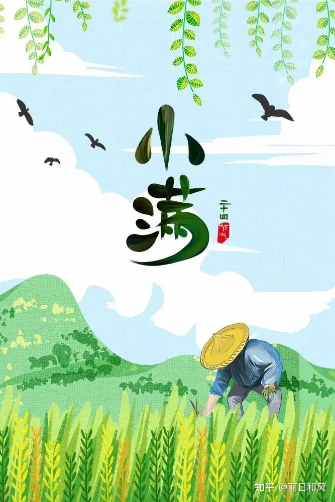 今天是小满节气，24节气你都了解哪些？