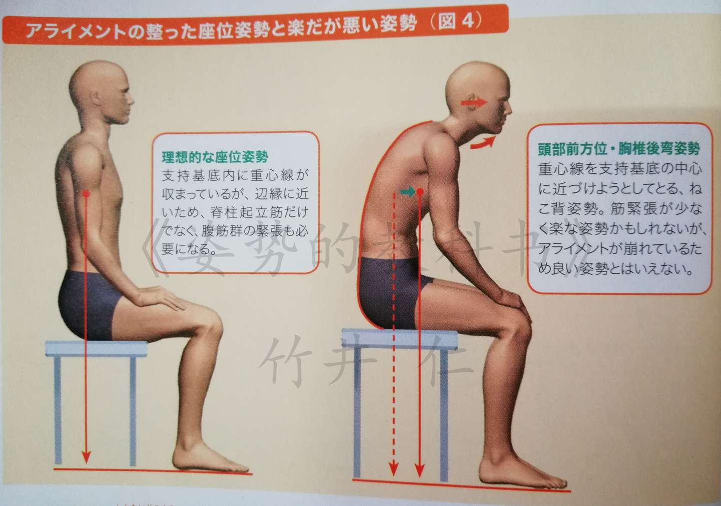 保持稳定姿势的主要原因 知乎