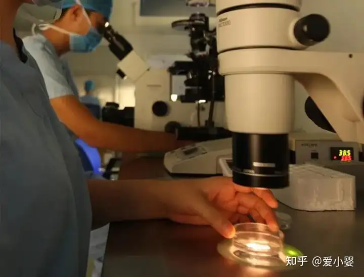 在中国现在做试管婴儿需要多少钱呀（试管选性别犯法吗？）