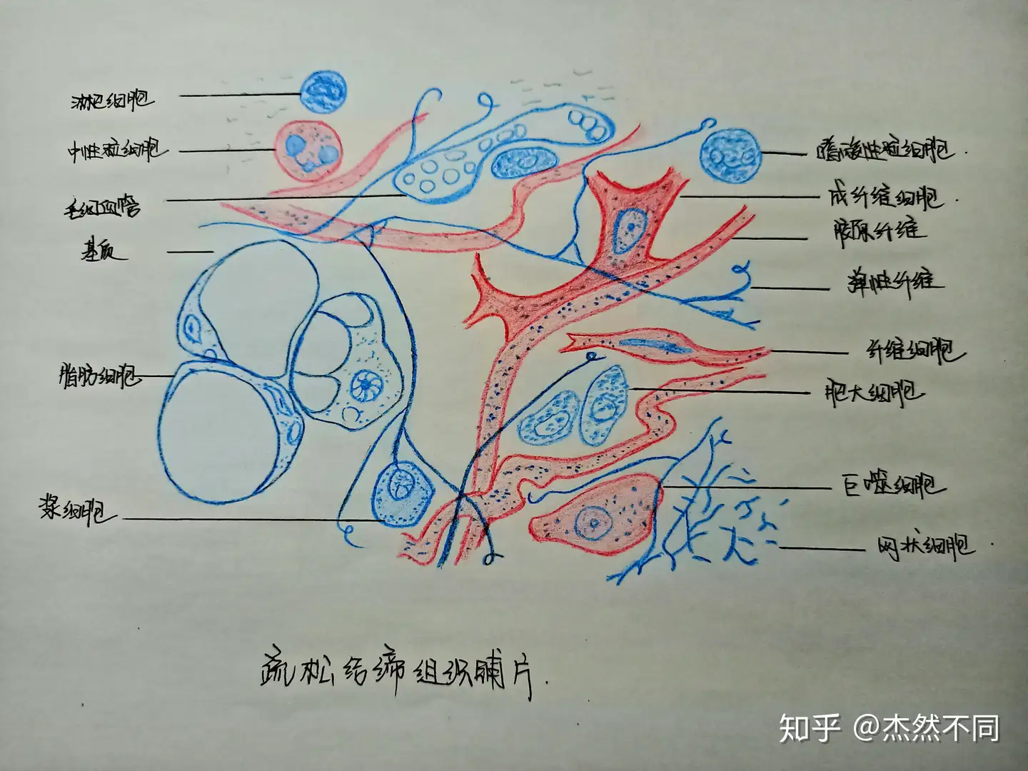 正絹 仕付け糸付き“凛と立つ千草鼠色に百合のほほ笑み♪”訪問着 着物O