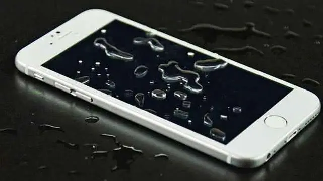 手机掉水里怎么办（手机进水的紧急处理方法）