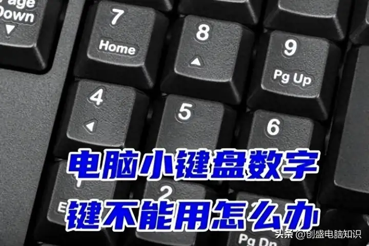 电脑数字键用不了应该按哪个键恢复（详解数字键盘的解锁方式）