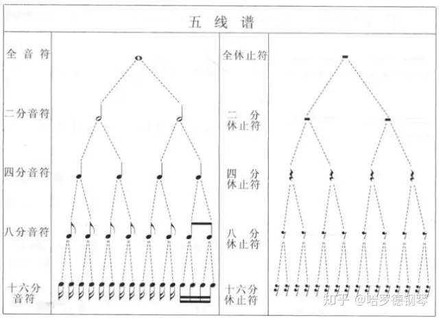 懂简谱的人怎么快速学会五线谱 知乎