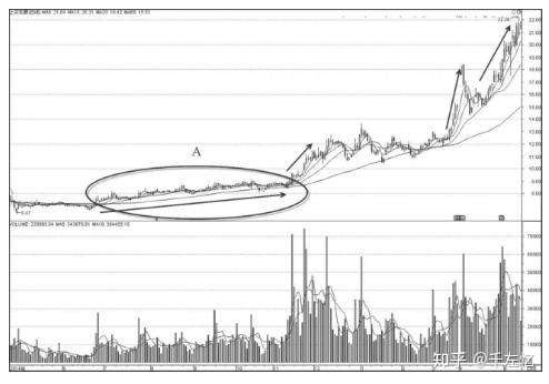 炒股成功的人到底有多可怕 死记这种 笨 方法 赚万贯家财 知乎