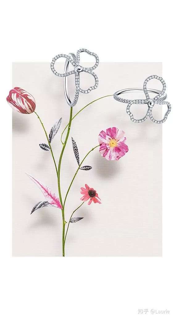生如夏花 如花般值得呵护的珠宝 知乎