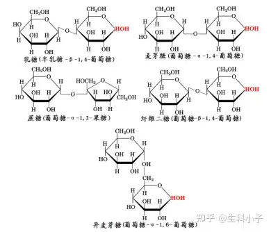 2,常见二糖的名称,结构,来源和生理功能