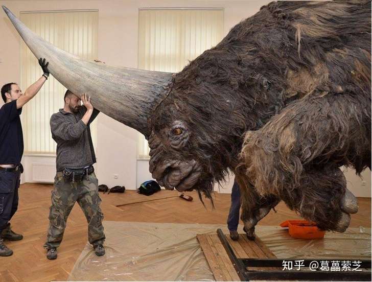 器官 角 角的种类有哪些 牛角和鹿角的区别是 美羊羊是男孩子么 知乎