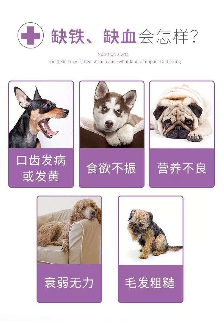 如何让狗狗轻松补血养肝 一支谷登补血肝精膏就能让宠主100 省时省力 知乎