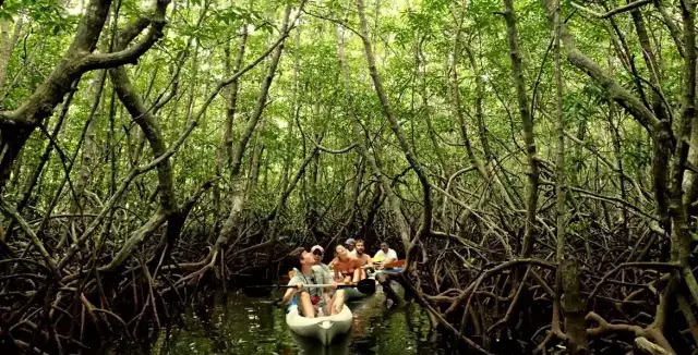 史上最好的沙巴小众旅行攻略，没有之一。
