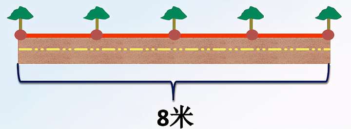 植树问题的定义和公式