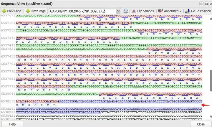 《NCBI保姆级使用教程（包含如何查找CDS、启动子、5'UTR和3'UTR、lncRNA序列）》