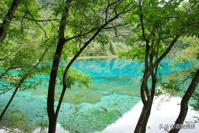 四川旅游必去十大景点推荐（四川值得去的地方有哪些）