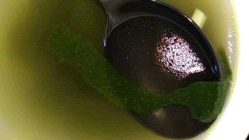 有人知道海带上的这些像虫卵一样的东西是什么吗