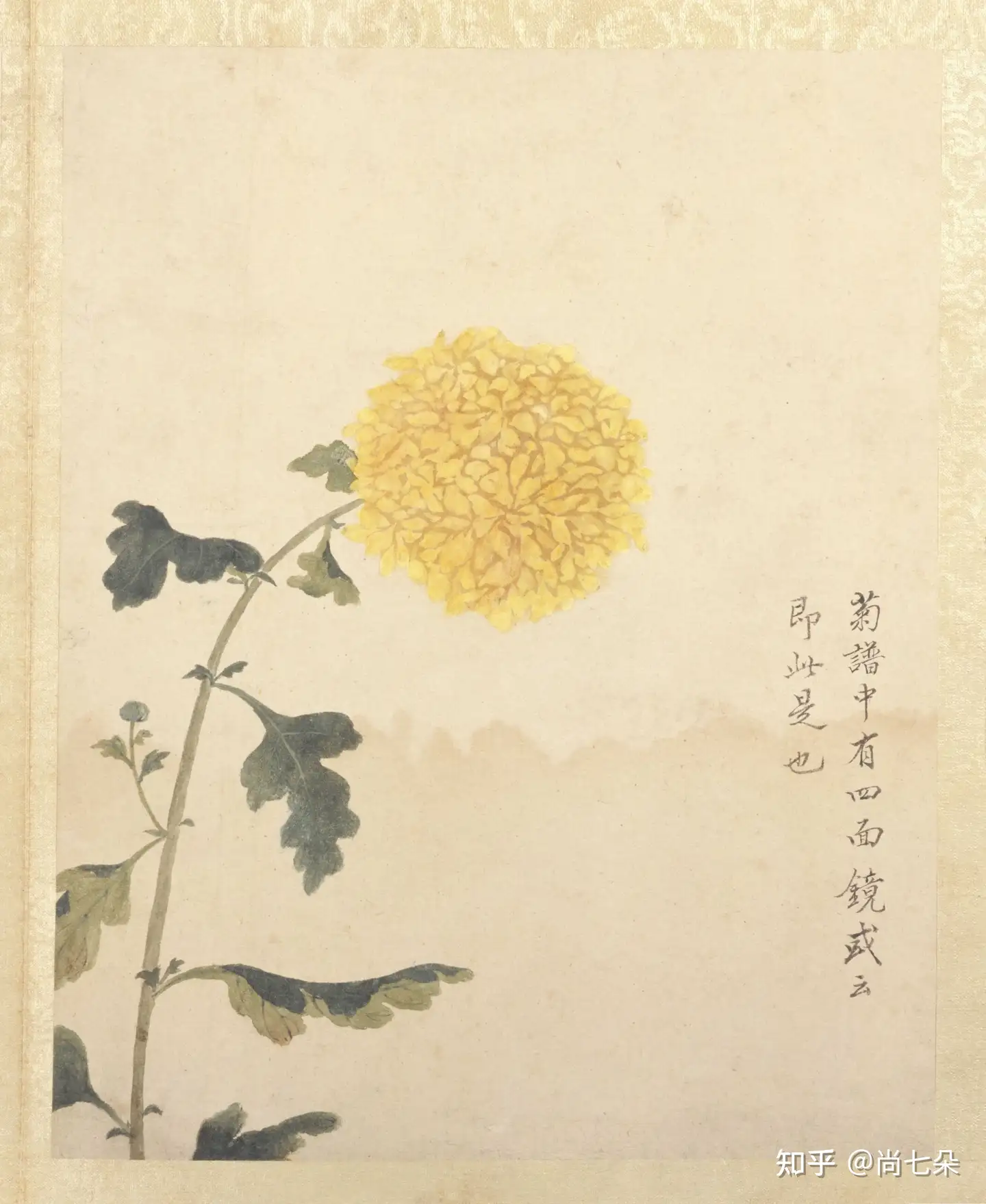 蒋廷锡（款） 花卉四屏立轴模写中国絵画-