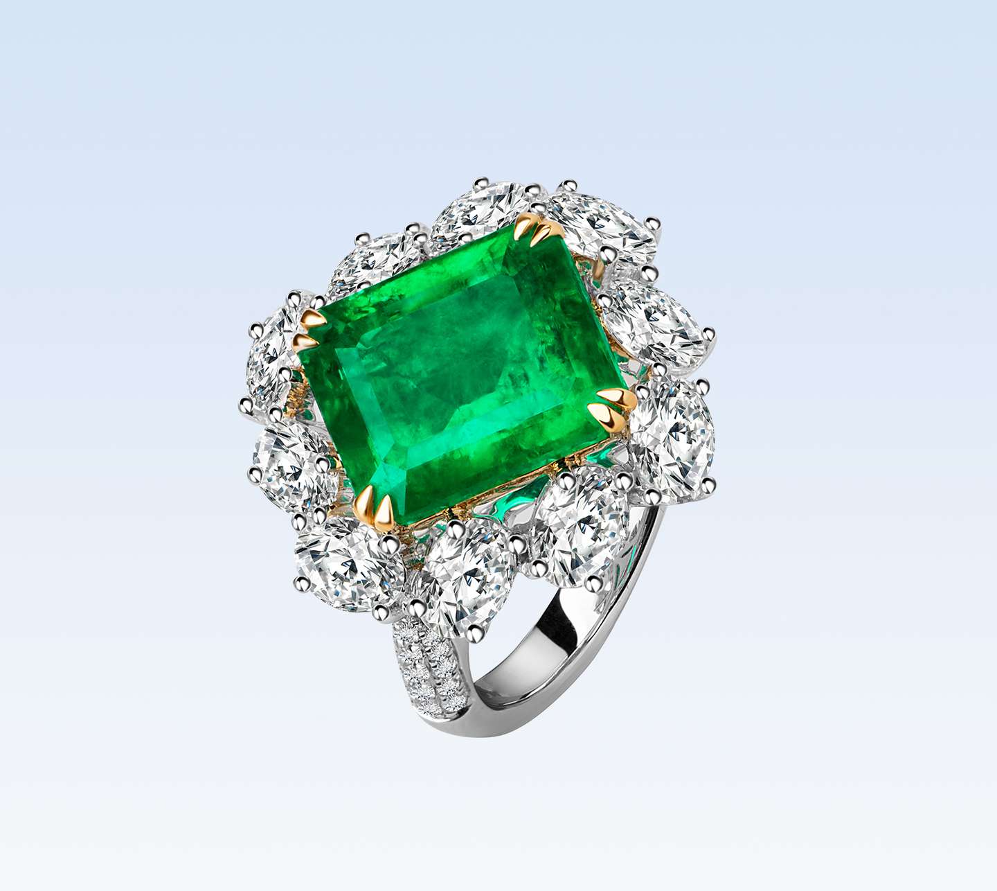 年bojem 宝姐 珠宝年度拍卖有哪些瑰丽珠宝及翡翠 知乎