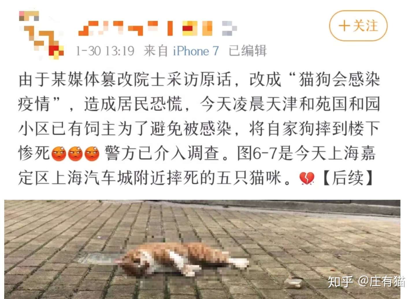 以防疫的名义活埋猫 不仅无情 而且愚蠢 知乎