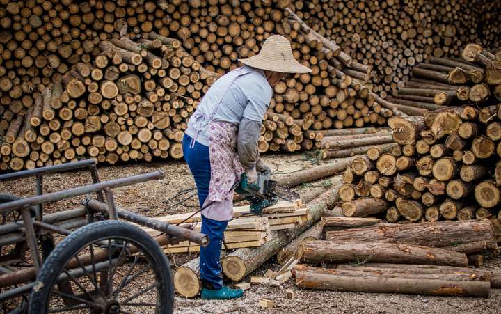 这个答案也更新一下: 这两天的苦力活: 3017-3-5日 去锯木厂买木头