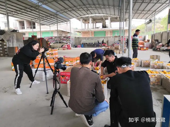 如何轻资产批量孵化三农直播带货账号?