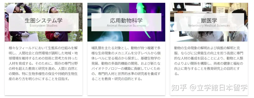 日本升学：生物学修考上岸，你必须知道的成功秘诀！ - 知乎