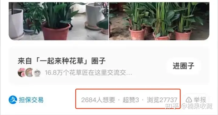 单号单天利润300+,日常维护时间1小时,分享一个高利润精转化的闲鱼新玩法