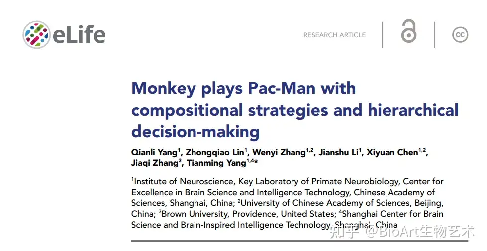 Monkey plays Pac-Man with compositional strategies and hierarchical  decision-making