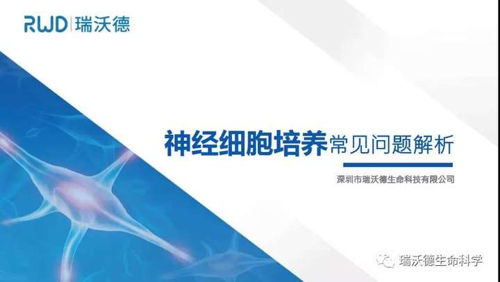 【免费】培养神经细胞？这份1G的资料包别错过！