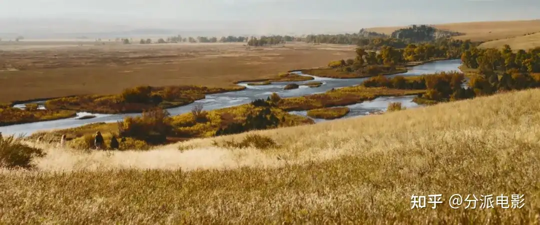 《麦迪逊河谷》豆瓣8.3！“黄石宇宙”新作来袭