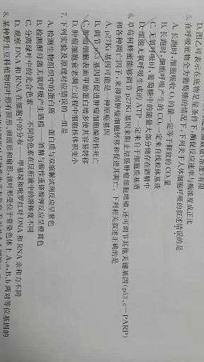 v2-9b5774d28e1fe142044db646b6cfe828_bh.jpg?source=1940ef5c