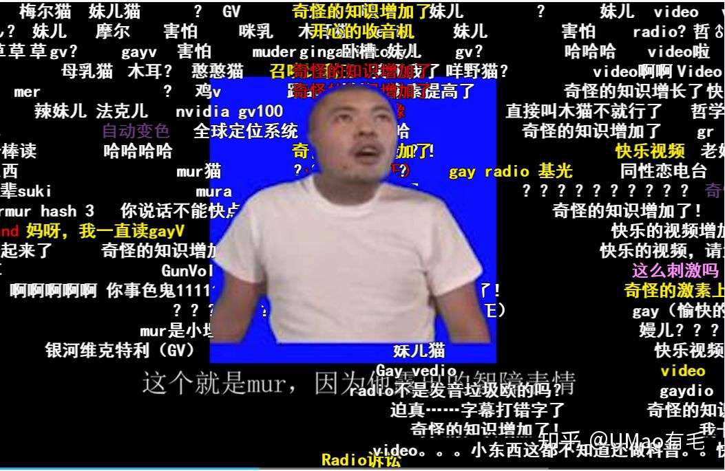 魔性洗脑又上头 这批沙雕喵表情包到底什么来头 知乎