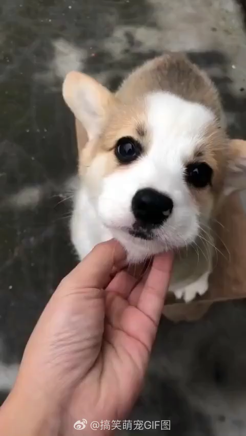 v2-9c128cdf4f1e0d24d619afe93bc34897_bh.jpg?source=1940ef5c