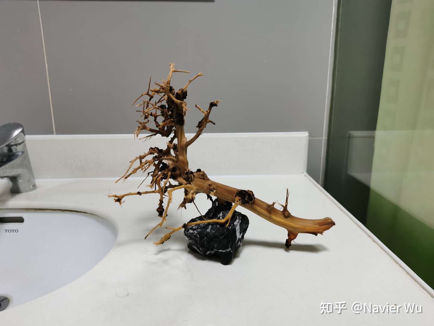 25小缸 开缸 知乎