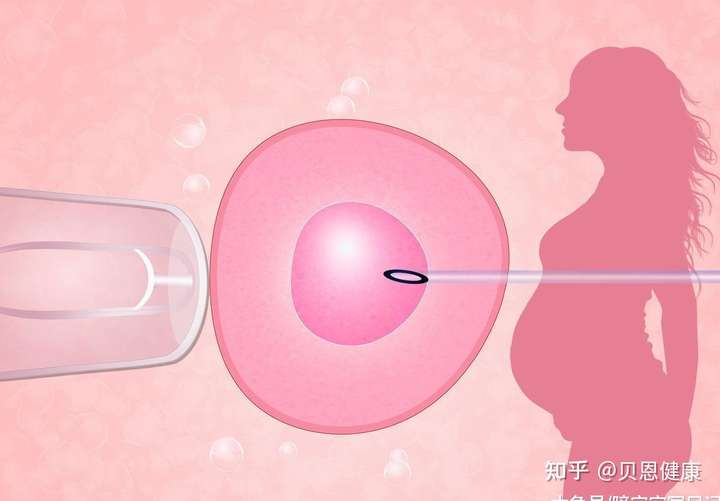 成都供卵医院（单亲妈妈做试管婴儿合法吗?）