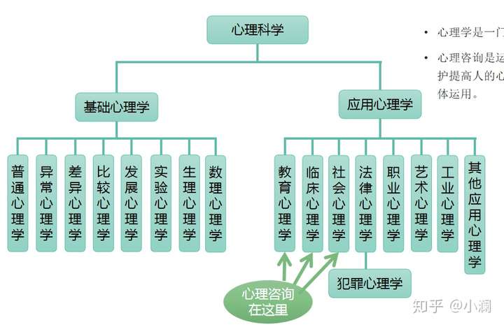 應用心理就業走向_應用心理學專業就業方向及前景_應用心理就業前景如何