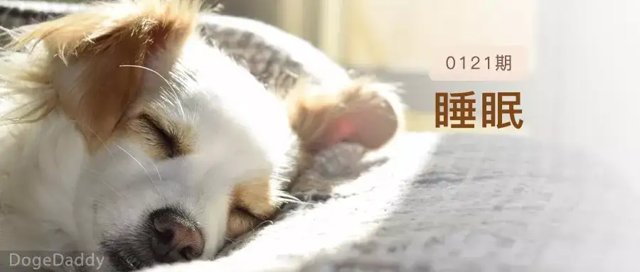 狗子是否做梦 睡眠时间需要多久 那些关于睡眠的秘密 知乎
