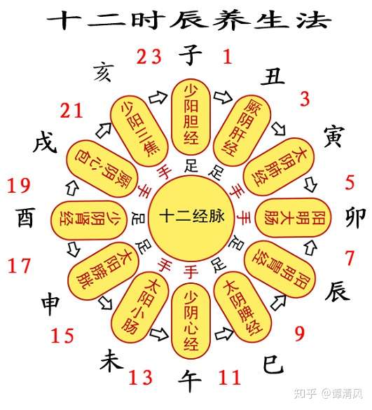 子午流注十二经络时辰养生法 知乎