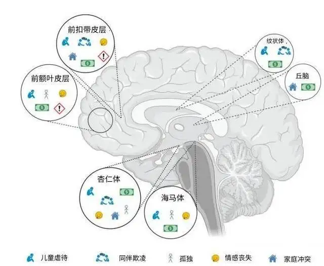 研究发现早年多吃苦对大脑有害，与「吃得苦中苦方为人上人」的传统观念相悖，你认同「多吃苦才能成才」吗？