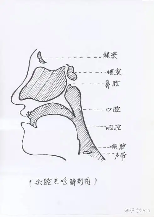 头腔共鸣理论和练习（1） - 知乎